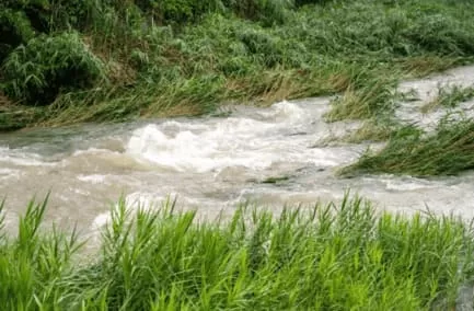河川の危険増水時の画像