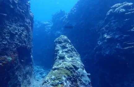 大型アオリイカが身を隠す起伏の激しい岩礁帯画像