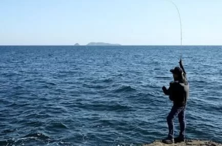 磯場のエギング画像