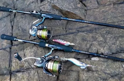 スピニングリールのサイズ別エギングタックル画像