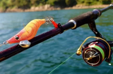 エギングタックル（エギ、ロッド、リール）画像