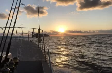 オフショアジギング釣行に繰り出す早朝の朝日まばゆい大海原の画像