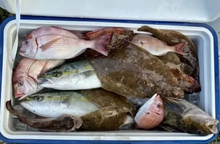 オフショアライト五目の大漁画像