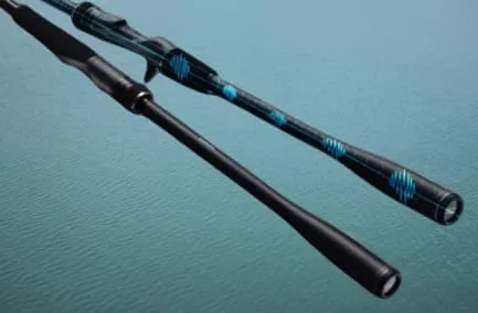 フッキングパワーの伝導性メカニズムの画像