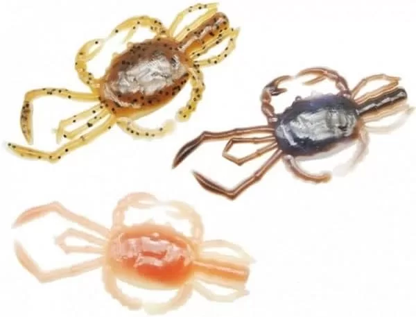 極小モデルのカニ型ワーム画像