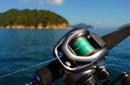 ラインシステムの結束コブをスプール内に巻き込んだ状態の画像